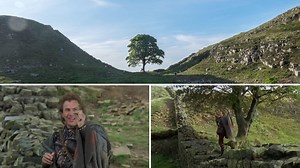 Sycamore Gap chopped down: How the iconic tree featured in Robin Hood: Prince of Thieves
