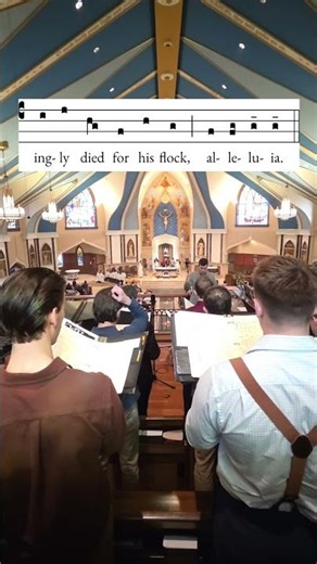 Communion Antiphon - Easter 4 #churchmusic #churchmusician #catholic #catholicchurch #catholicmusic