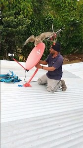 PNG satellite TV 📡🇵🇬🙏