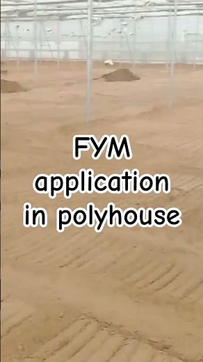 FYM Application in polyhouse