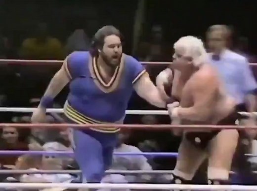 BIONIC ELBOW #dustyrhodes #bionicelbow #prowrestling #prowrestlingtiktok