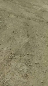 7.2K views · 143 reactions | un message pour les autorités avec là direction des transports | Béjaia La Vérité | Facebook