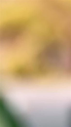 Say goodbye to green growth 👋 📸 - @dlcexteriorcleaning_ #HomeImprovement #DIYProjects #FixItYourself #ManCave #Driveway #HomeClean #Cleaning #CleaningInspiration #DIY | Smartseal UK Ltd