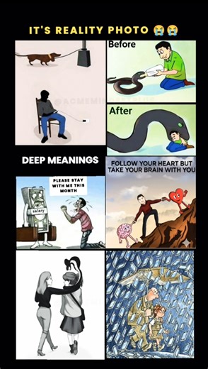 6 Deep Meaning Motivational Pictures | Reality of Life #shorts #viralshorts