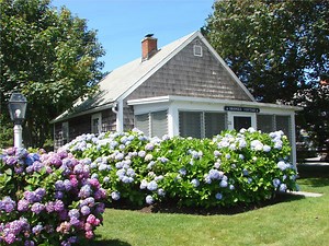Harwich Cape Cod vacation rental, WeNeedaVacation.com ID 9736