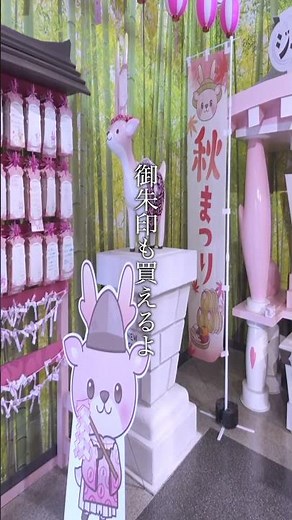 栃木県行ってよかったオススメ場所5選！！ #観光 #旅行 #栃木県