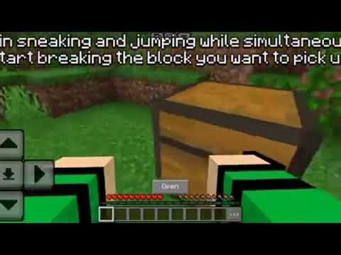 DOWNLOAD MORE BODY ACTION PICKUP AND CARRY MOD/ADDON FOR MINECRAFT PE 1.21