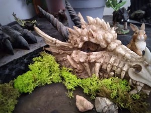 Dragon worship- how to build a dragon altar- the dragon's path