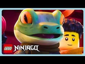 Lego Ninjago: Dragons Rising - 海のギャング | シーズン1 | 日本語吹き替え | 子供向けアニメ | WildBrain ジャパン