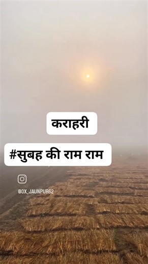 6K views · 247 reactions | #गॉव #कराहरी #tranding #viralreelschallenge #reelschallengereelschallenge @highlight | Sohan Singh Salanki | Facebook