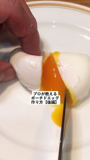 【プロが教える料理テクニック】美しいポーチドエッグの作り方！【後編】@chefrepi では、今後ちょっとしたポイントで料理がうまくなる、うまく切れるようになるためのTipsを発信していきます！参考になった方はぜひいいねお願いします🙌#料理好きな人と繋がりたい #料理動画 #料理初心者 #ポーチドエッグ