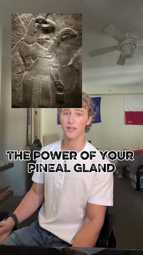 Unlocking the Secrets of the Pineal Gland