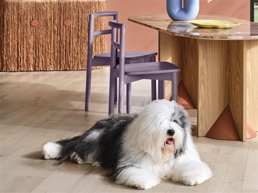 How to use 2025’s hottest colours in your home on a budget - realestate.com.au