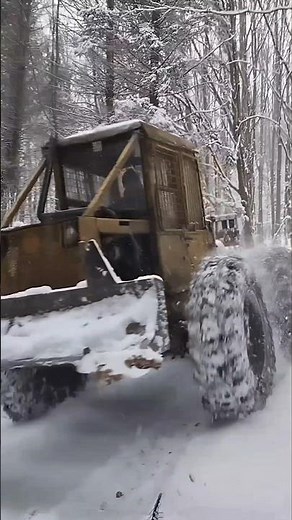 Winter Forest Beast 💪❄️ LKT 81 Turbo Dragging Logs! #lkt #tractor #winter #snow #forestry #logging