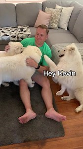 This is the time we realized Kevin just doesn’t have enough hands and the Wolfpack let him know it 😆 | Poppet and the Wolf Pack