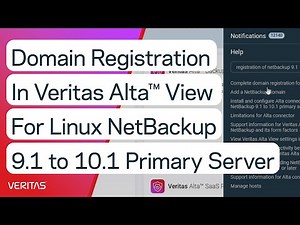 Domain Registration in Veritas Alta™ View for Linux NetBackup 9.1 to 10.1 Primary Server