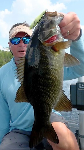 This NEW 2024 Angling Edge episode, "Ontario Smallmouth Top to Bottom", is available to watch online! Tap the link in our bio. | Lindner's Angling Edge