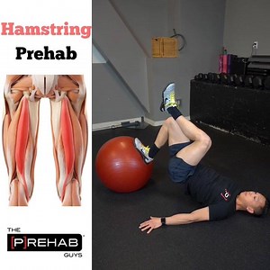 Hamstring Curls For Hamstring Health Powered by WebPT . 🙋‍♂️ Big fan of hamstring curls as it’s one of the easiest knee dominant hamstring exercises to perform with regressions. . 👏 Nordic hamstring curls are GREAT and there is a lot of emerging evidence suggesting that incorporating a very low volume of Nordic curls into your programming can cut the risk of hamstring related injuries in half. However, they are hard to perform on your own or make regressions! . ⭕️ I like to use a Swissball, bu