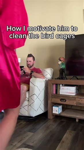 This is how I do it 🤭 #parrot #marriagehumor #birdhumor #birdmom #birddad