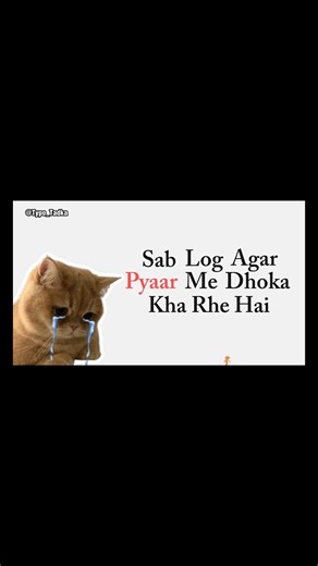 Sochne wali bat nhi hai?🤔 #shorts #typotadka #typography #cat