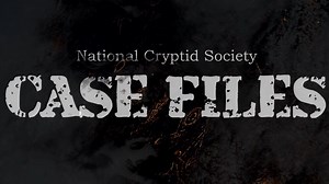 Make A Report (contact us)