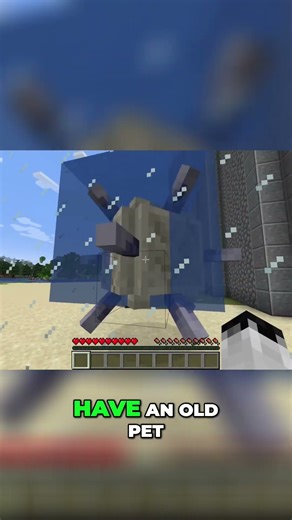 Minecraft Elytra Tips & Nether Survival Guide #shorts