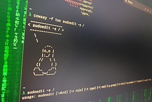 Bug in Linux sudo command could give any user root access