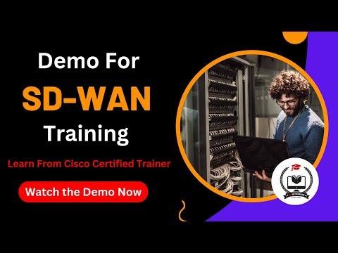 SD-WAN Demo Session | #sdwam #network_engineer