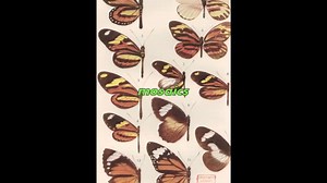 Nature's Hidden Code The Fibonacci Sequence Revealed!