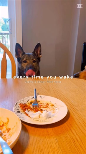 I’ll be watching you 👀
