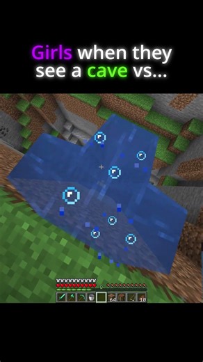 Girls vs Boys minecraft