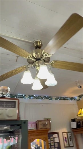 Harbor breeze Springfield ii and Unknown ceiling fans