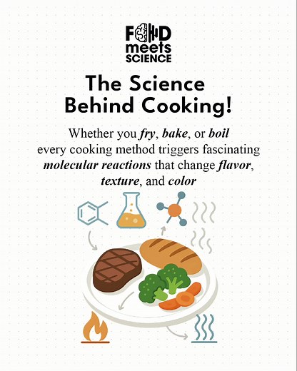 Understanding the Science Behind Cooking Techniques