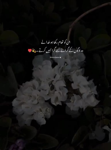 ꧁LOADING꧂ ███░░░ (@mrloading066)’s videos with original sound - ꧁LOADING꧂ ███░░░