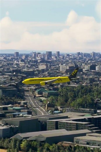 beautiful View Airplane Landing!!! #aviation