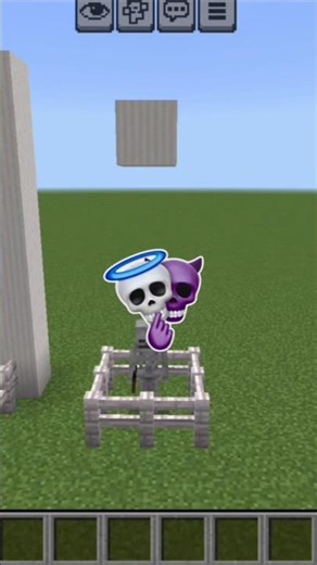 You can’t see this Insane | #Shorts #Minecraft