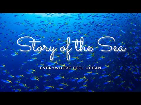 日本の海の魅力を！海を愛するすべての人へ【癒しBGM】