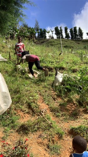 Videos de plezi lokoko Fanm foulay la (@wilkelson6) con “REMIX TOUT MOUN NET AP MELANJE BLACKREMIX - BLACK..REMIX..[ATR]”