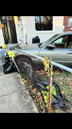 Car Crashes Into House: Shocking Footage