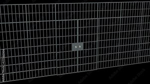 Prison bars with doors. Animation of Closed Jail bars. 3d render video available in 4K FullHD and HD render footage on black