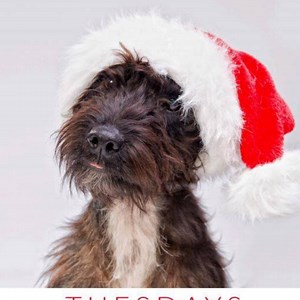 RiverGate Mall on Reels | Facebook