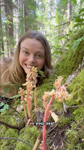 Non-photosynthetic parasitic plant: Pinesap!