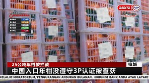 31K views · 344 reactions | 【25公吨年柑被拦截】 个星期五一批没有入口准证的年柑遭到扣查。这批年柑来自中国重达25公吨总值超过10万令吉。 | RTM 华语新闻 | Facebook