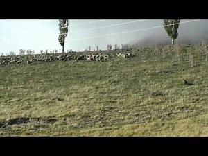 Panasonic HDC-SD900 video test