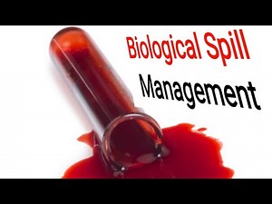Biological Spill Management|Spill Management inside biosafety Cabinet|Biological Spill