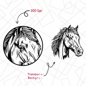 Equine Silhouette Laser Engrave Files: Horse Head SVG, PNG, PDF (commercial Use) - Etsy