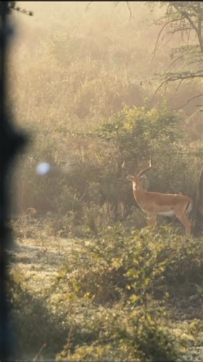 Danie Geel on Instagram: "Flinging arrows and making memories 🏹🏹 there’s a couple new videos on my YouTube channel! Go check it out 🙌 (Link in bio)"