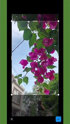 How to Insert Images in Excel Mobile (Fast & Easy!)