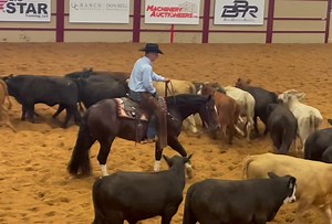 23K views · 529 reactions | Cutting horses are athletes from every angle! Here is stallion Hit Tha Flo and Matt Miller, who marked a 216.5 in the 5/6 Open Finals. | Quarter Horse News | Facebook