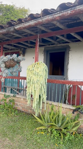 302K views · 5.3K reactions | Una Finca Rústica En el eje Cafetero Colombiano ☕️☕️ #paisdelabelleza #cafe #filandiaquindio #ejecafetero #pueblos #viajar #finca Gutierrez Jeferson Marco Aurelio Sanchez | Sucuelentas Doña Juana | Facebook